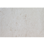 16x24 SHELL STONE Tumbled Limestone PAVER