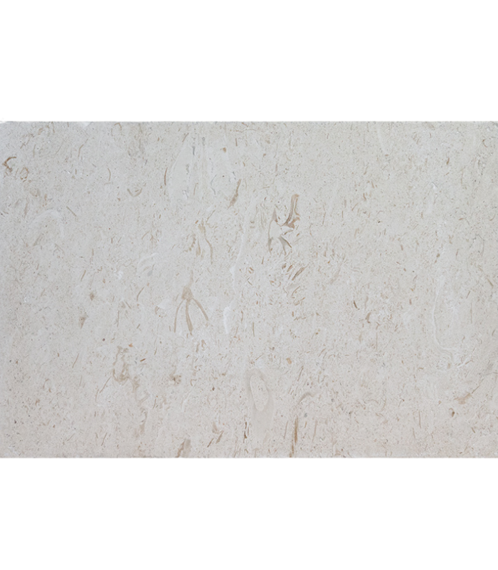 16x24 Shell Stone - Front - Background Removed 16x24 SHELL STONE Tumbled Limestone PAVER - Image 1