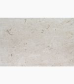 16×24 SHELL STONE Limestone THICK PAVER