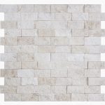 1x2 SHELL STONE Splitface Limestone MOSAIC