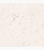 24x24 Shell Stone 'Rectified' Porcelain PAVER