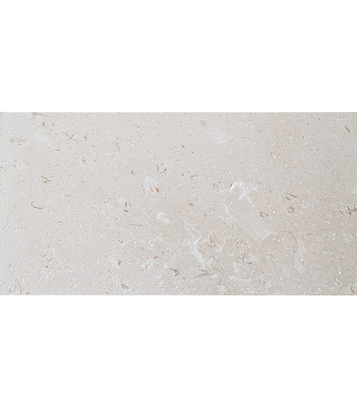 12x24 Limra Shell Stone - Front - Background Removed 12x24 LIMRA Premium Select PAVER - Image 1