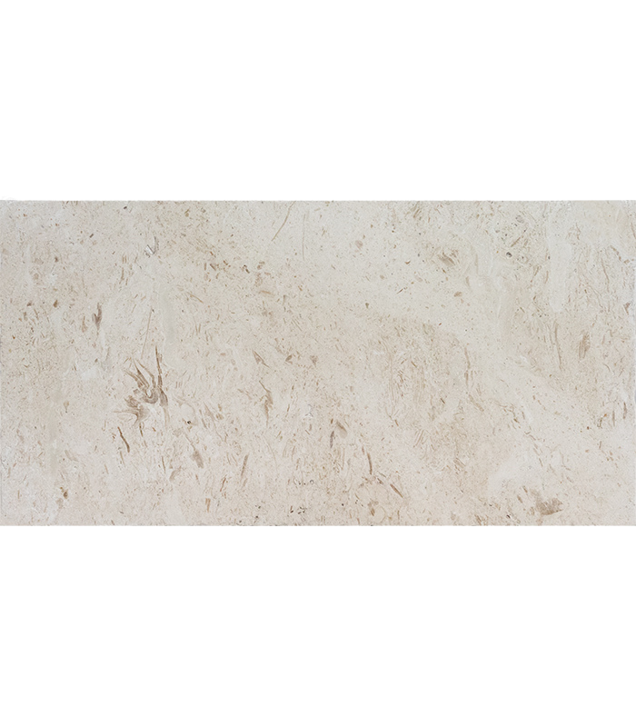 12x24 Shell Stone - Background Removed 12x24 SHELL STONE Premium Select THICK PAVER - Image 1