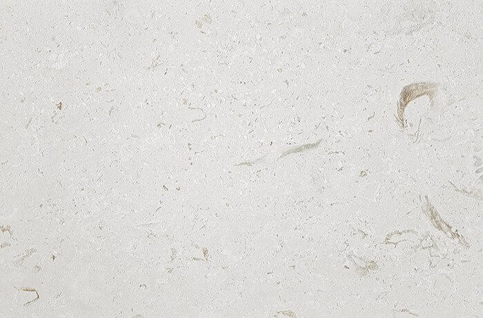 16x24 Limra Shell Stone - Background Removed 16x24 LIMRA Premium Select PAVER - Image 1