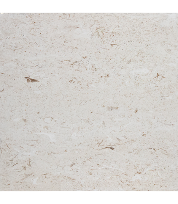 Shellstone Color 24x24 SHELL STONE Premium Select THICK PAVER - Stone-Mart