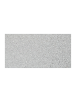 12x24 SMOKYROCK Brushed Terrazzo COPING